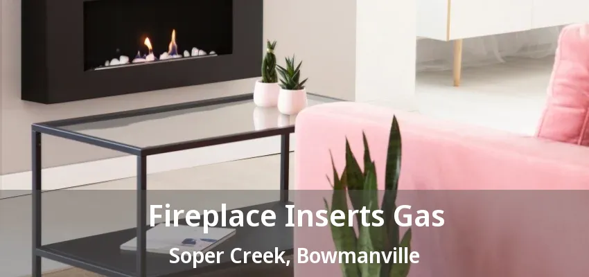 Fireplace Inserts Gas Soper Creek, Bowmanville - ON Fireplace Inserts Gas Soper Creek, Bowmanville - ON
