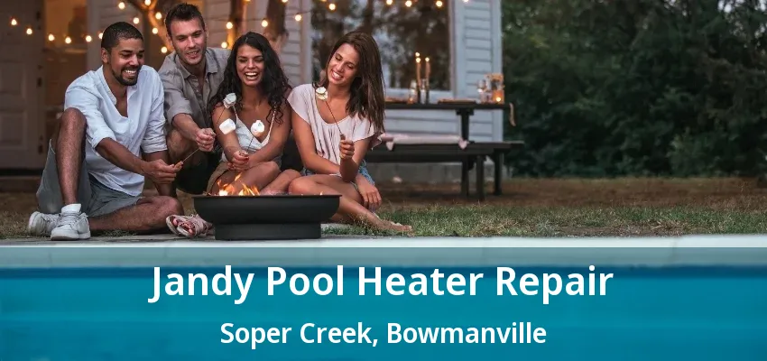Jandy Pool Heater Repair Soper Creek, Bowmanville - ON Jandy Pool Heater Repair Soper Creek, Bowmanville - ON