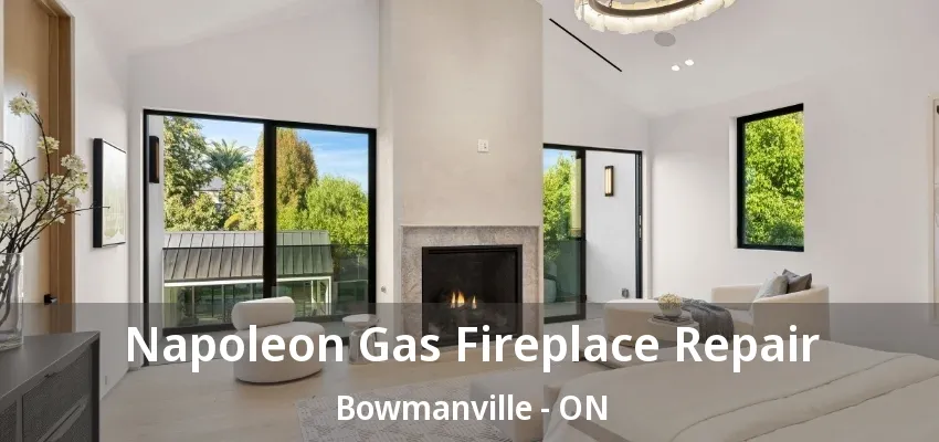 Napoleon Gas Fireplace Repair Bowmanville - ON