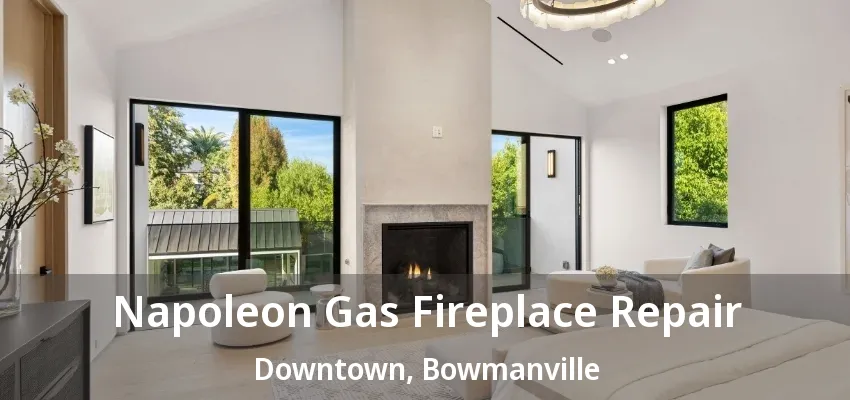 Napoleon Gas Fireplace Repair Downtown, Bowmanville - ON Napoleon Gas Fireplace Repair Downtown, Bowmanville - ON