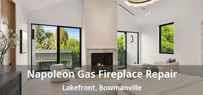 Napoleon Gas Fireplace Repair Lakefront, Bowmanville - ON