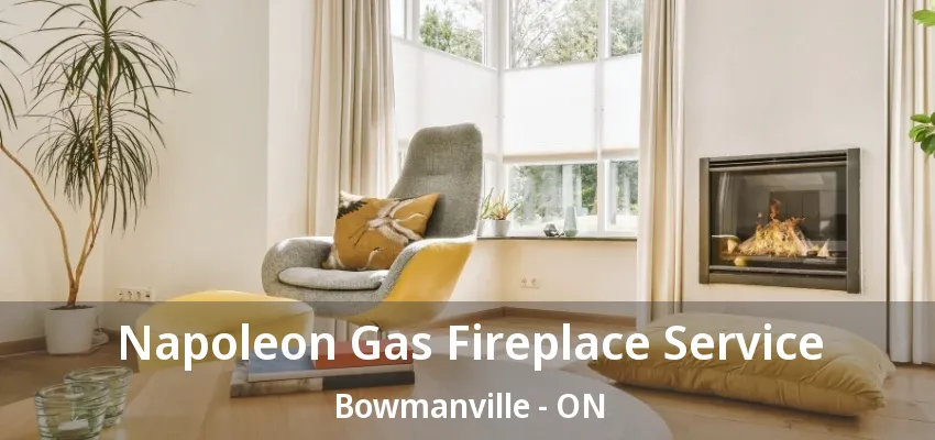Napoleon Gas Fireplace Service Bowmanville - ON