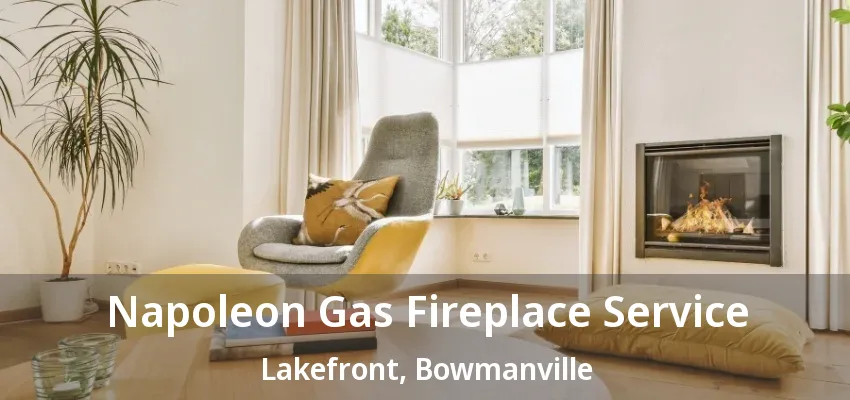 Napoleon Gas Fireplace Service Lakefront, Bowmanville - ON Napoleon Gas Fireplace Service Lakefront, Bowmanville - ON
