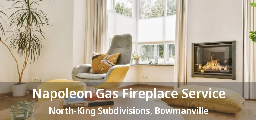 Napoleon Gas Fireplace Service North-King Subdivisions, Bowmanville - ON
