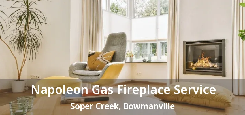 Napoleon Gas Fireplace Service Soper Creek, Bowmanville - ON