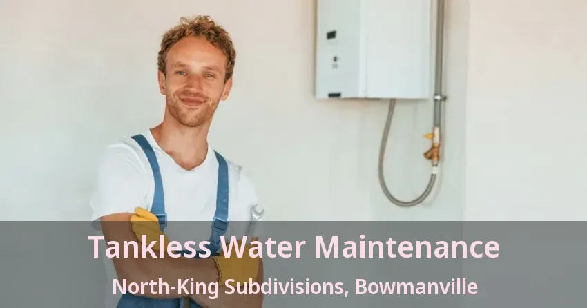 Tankless Water Maintenance North-King Subdivisions, Bowmanville - ON